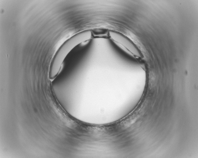 X0000088581234200706221308