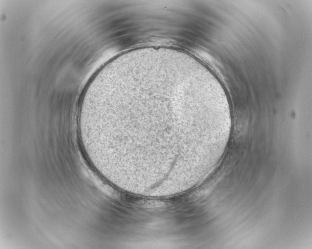 X0000088581235200706221308