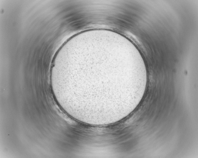 X0000088581236200706221308