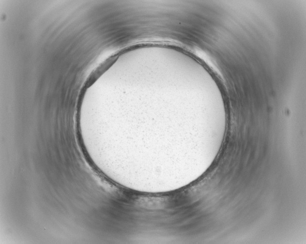 X0000088581237200706221308