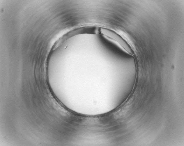 X0000088581238200706221308