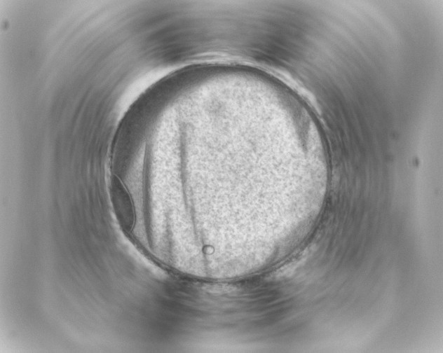 X0000088581239200706221308