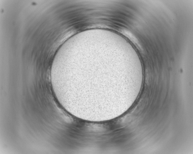 X0000088581241200706221308