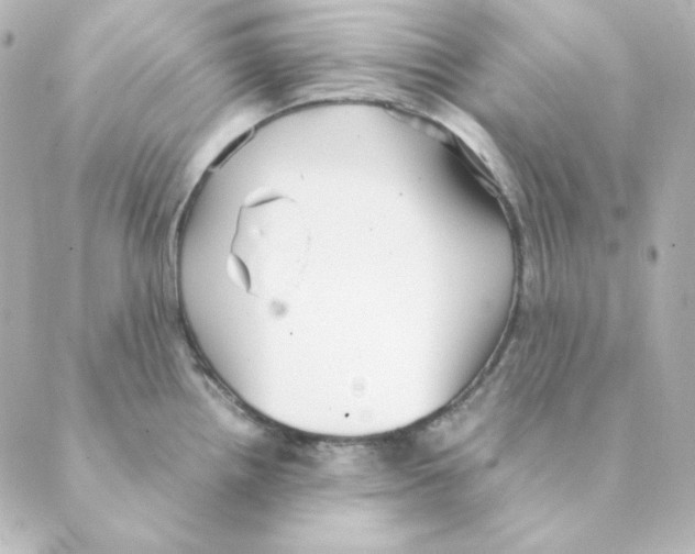 X0000088581242200706221308