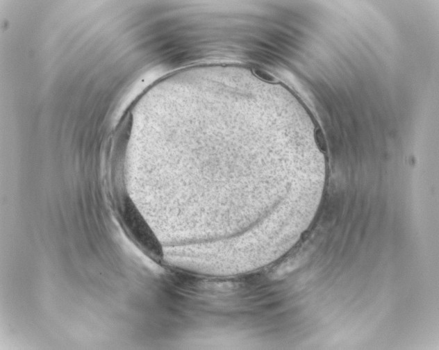 X0000088581243200706221308