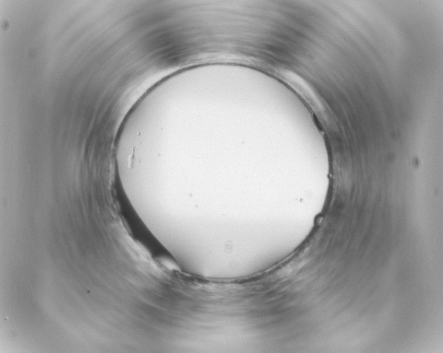 X0000088581244200706221308