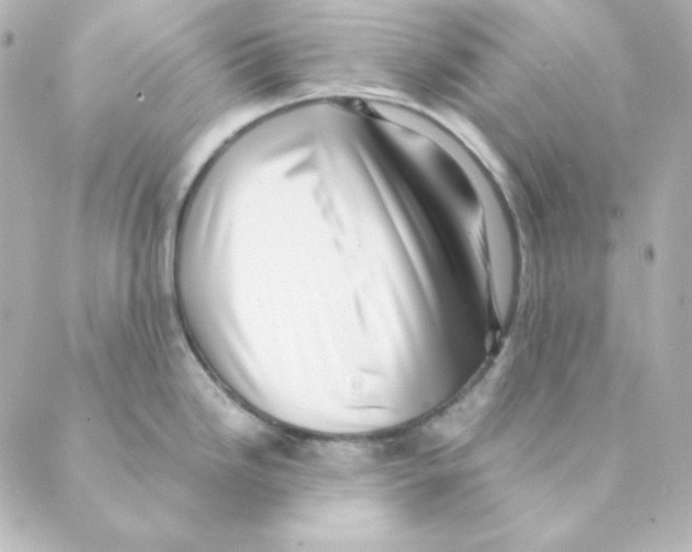 X0000088581246200706221308