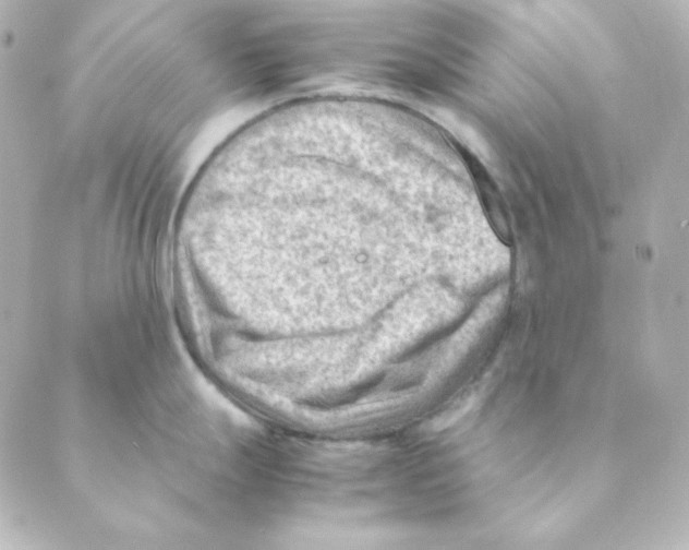 X0000088581247200706221308