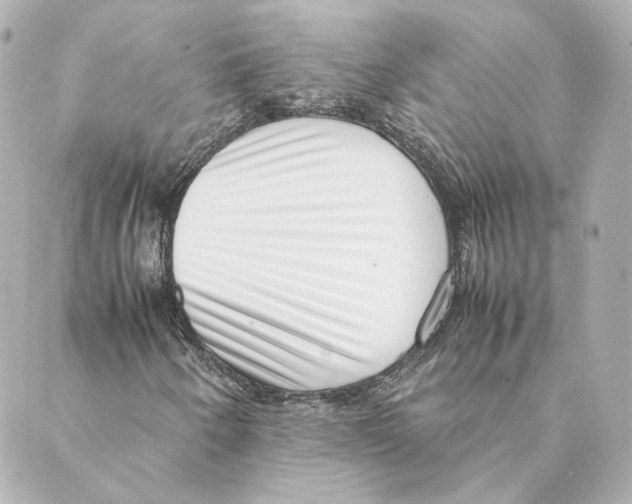 X0000088581250200706221307