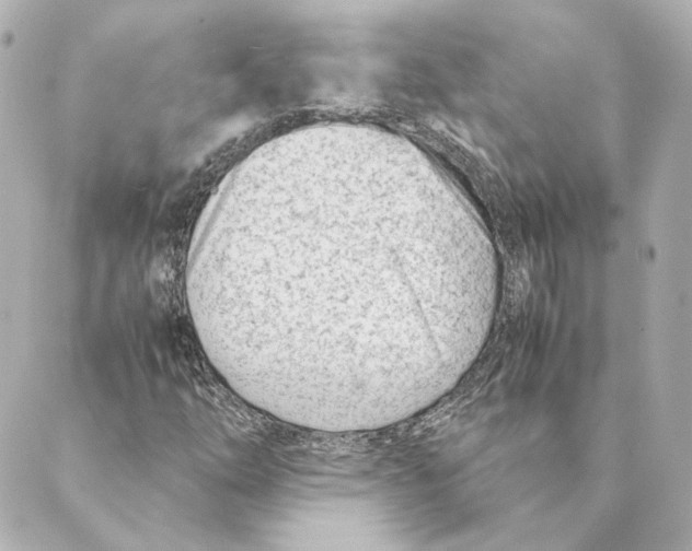 X0000088581254200706221307