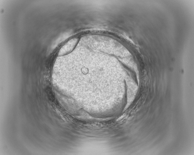 X0000088581255200706221307