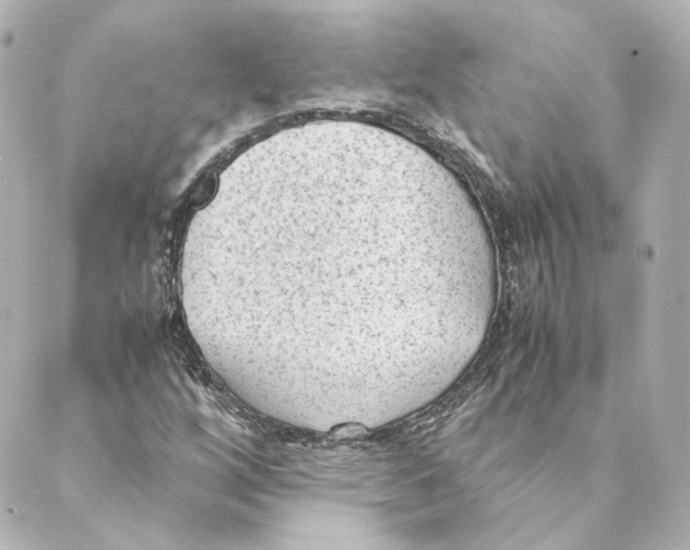 X0000088581256200706221307