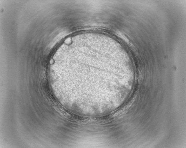 X0000088581259200706221307