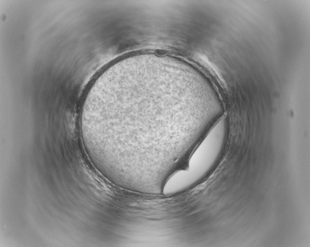 X0000088581260200706221307