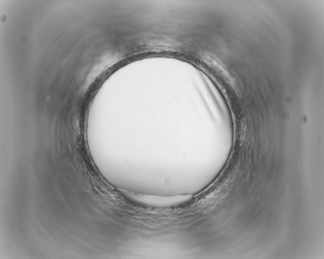 X0000088581261200706221307