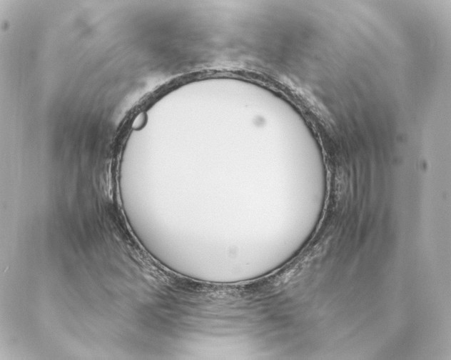 X0000088581262200706221307