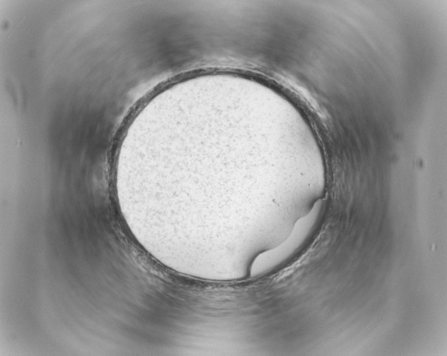 X0000088581264200706221307