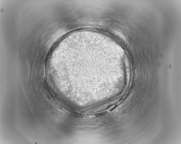 X0000088581267200706221307