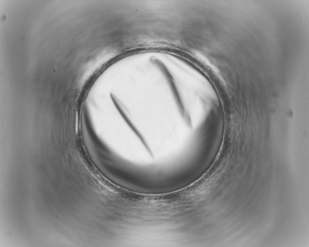 X0000088581269200706221307