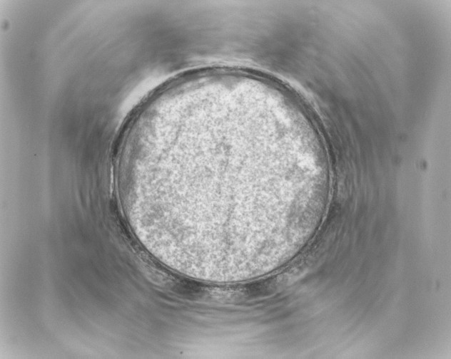 X0000088581271200706221307