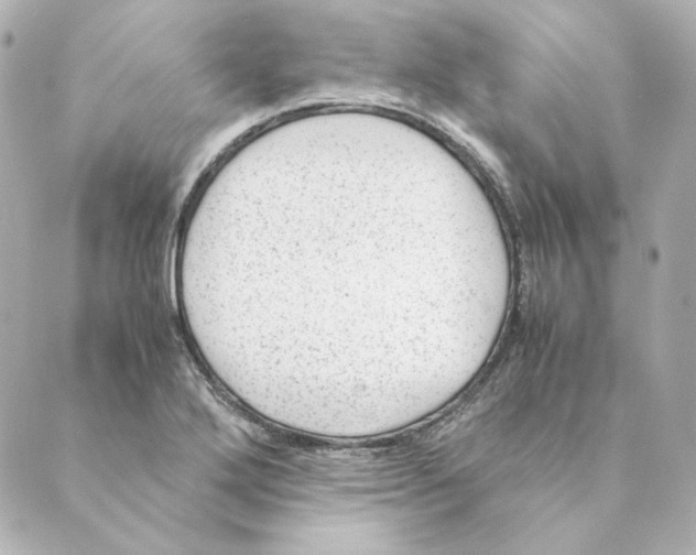 X0000088581272200706221307