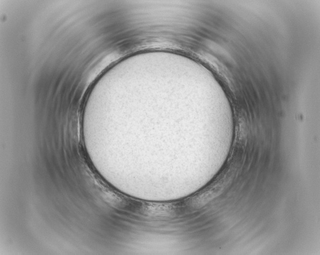 X0000088581274200706221307