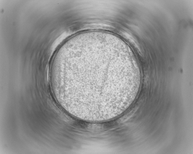 X0000088581275200706221307