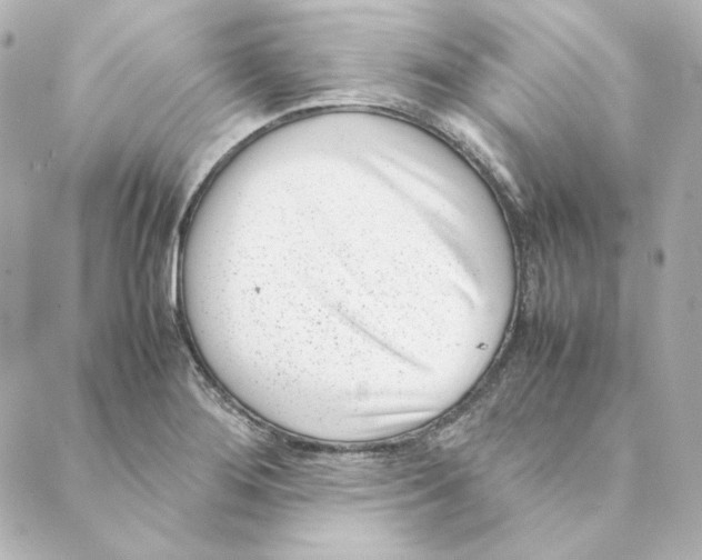 X0000088581276200706221307