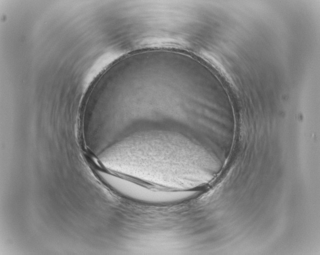 X0000088581277200706221307