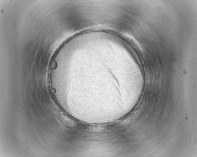 X0000088581278200706221307