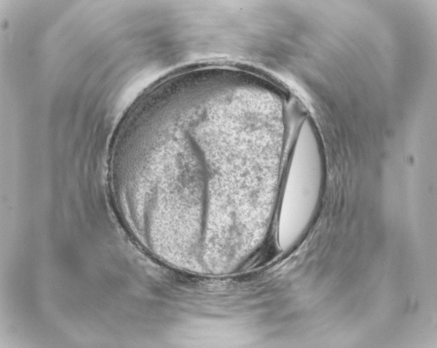 X0000088581279200706221307