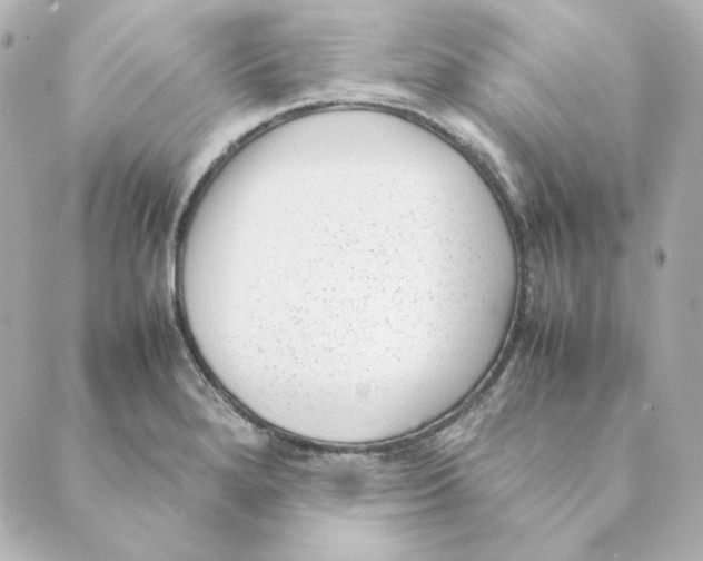 X0000088581280200706221307