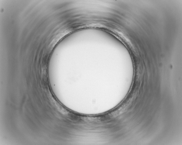 X0000088581281200706221307