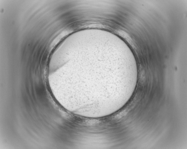 X0000088581282200706221307