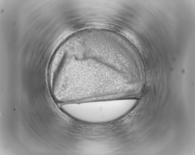 X0000088581283200706221307