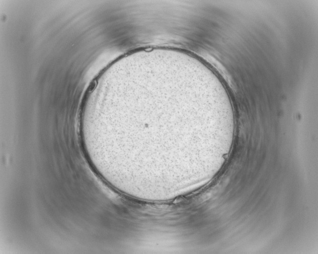 X0000088581285200706221307