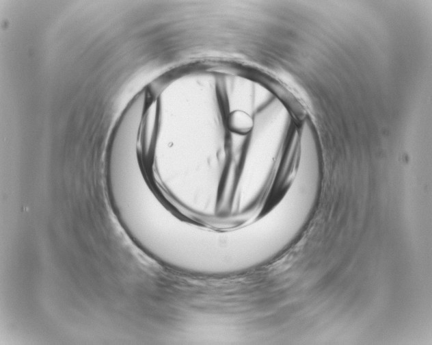 X0000088581287200706221307