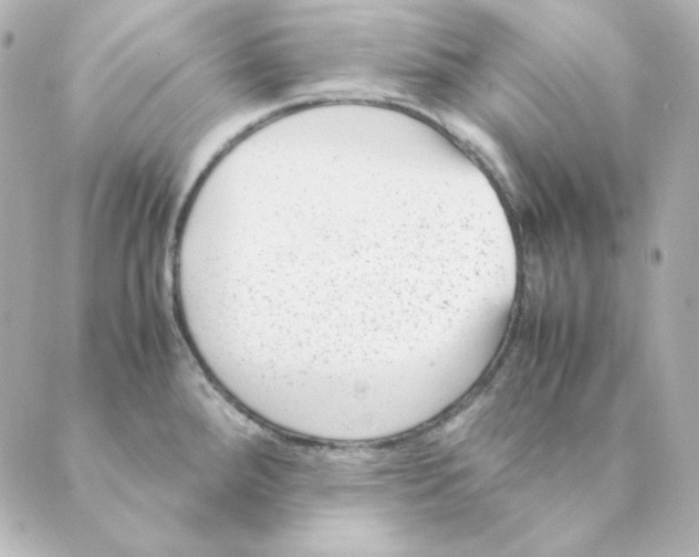 X0000088581288200706221307