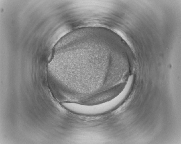 X0000088581289200706221307