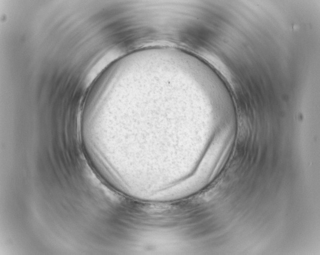 X0000088581290200706221307