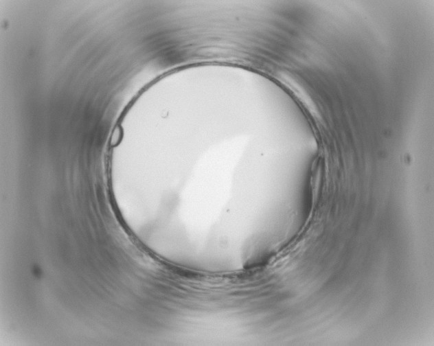 X0000088581291200706221307