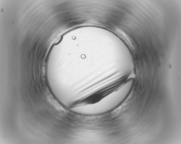 X0000088581292200706221307