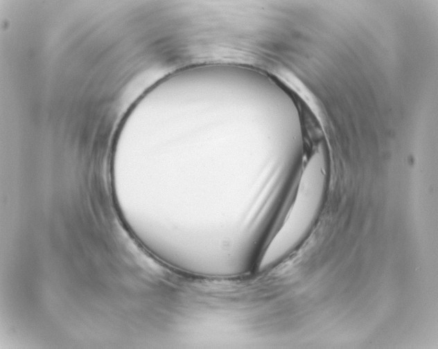 X0000088581293200706221307