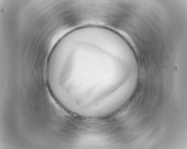 X0000088581295200706221307