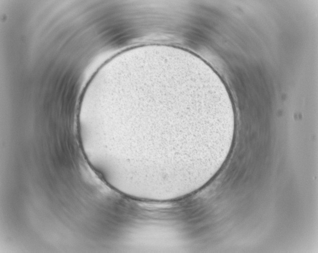 X0000088581296200706221307