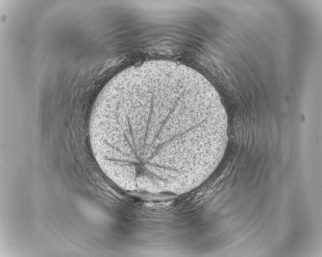 X0000088581297200706221306