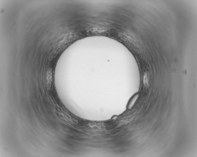 X0000088581299200706221306