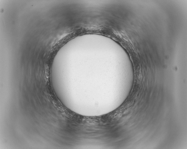 X0000088581301200706221306