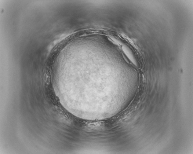 X0000088581303200706221306