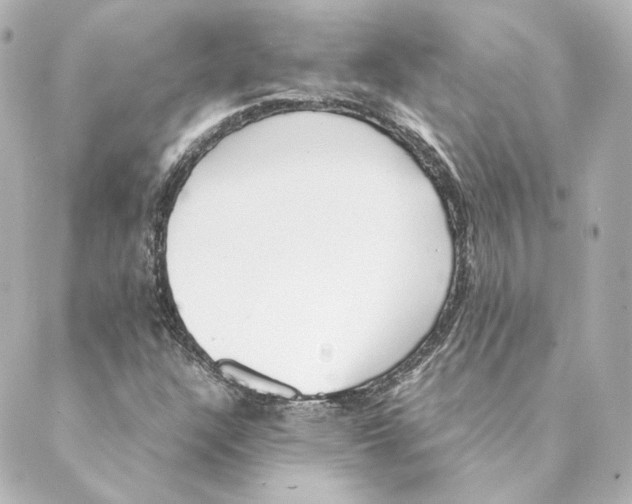 X0000088581304200706221306